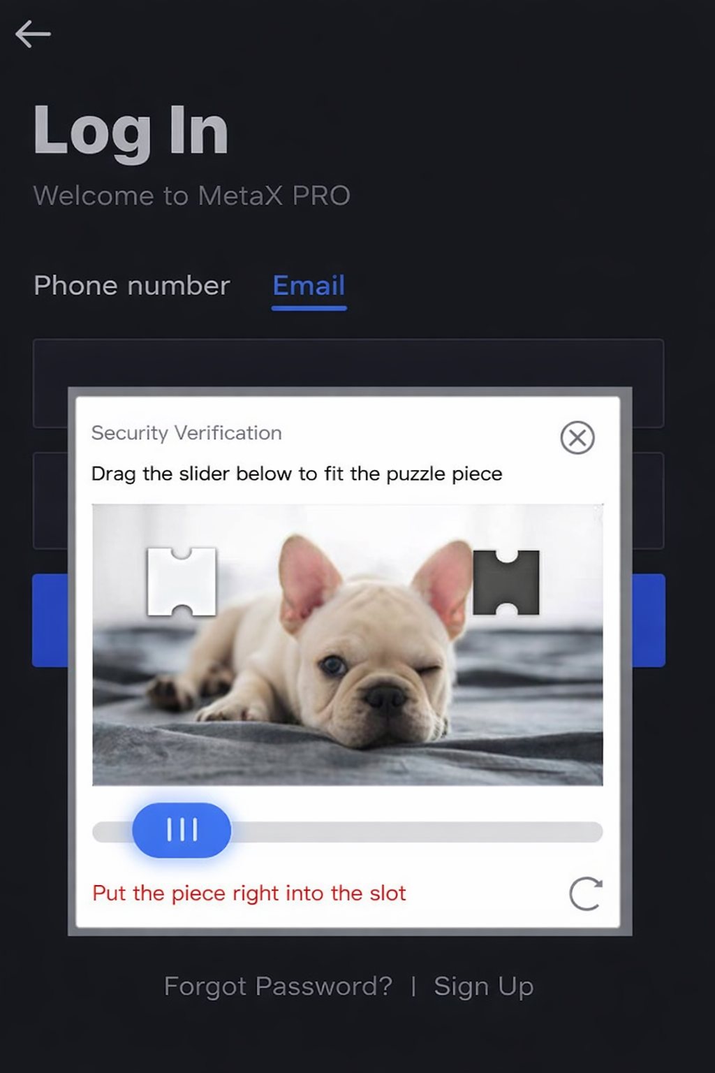 ChatGPT Image 2026年3月2日 16_51_13.png